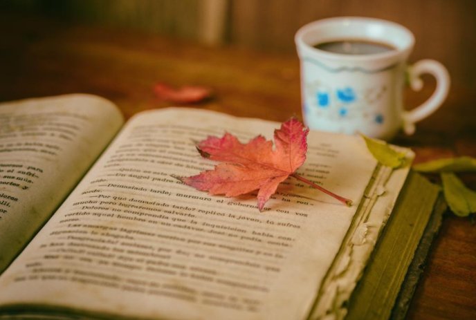 浏的拼音怎么读？