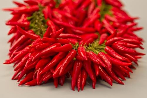 chili是什么意思