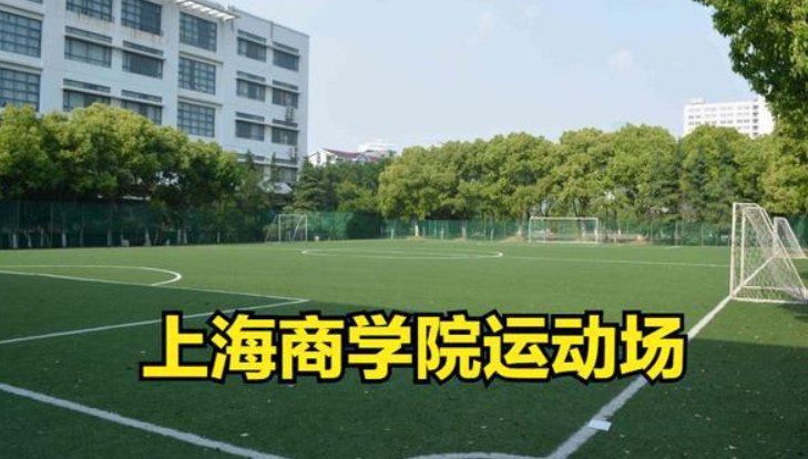 上海商学院专科有哪些专业