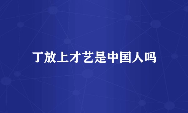 丁放上才艺是中国人吗