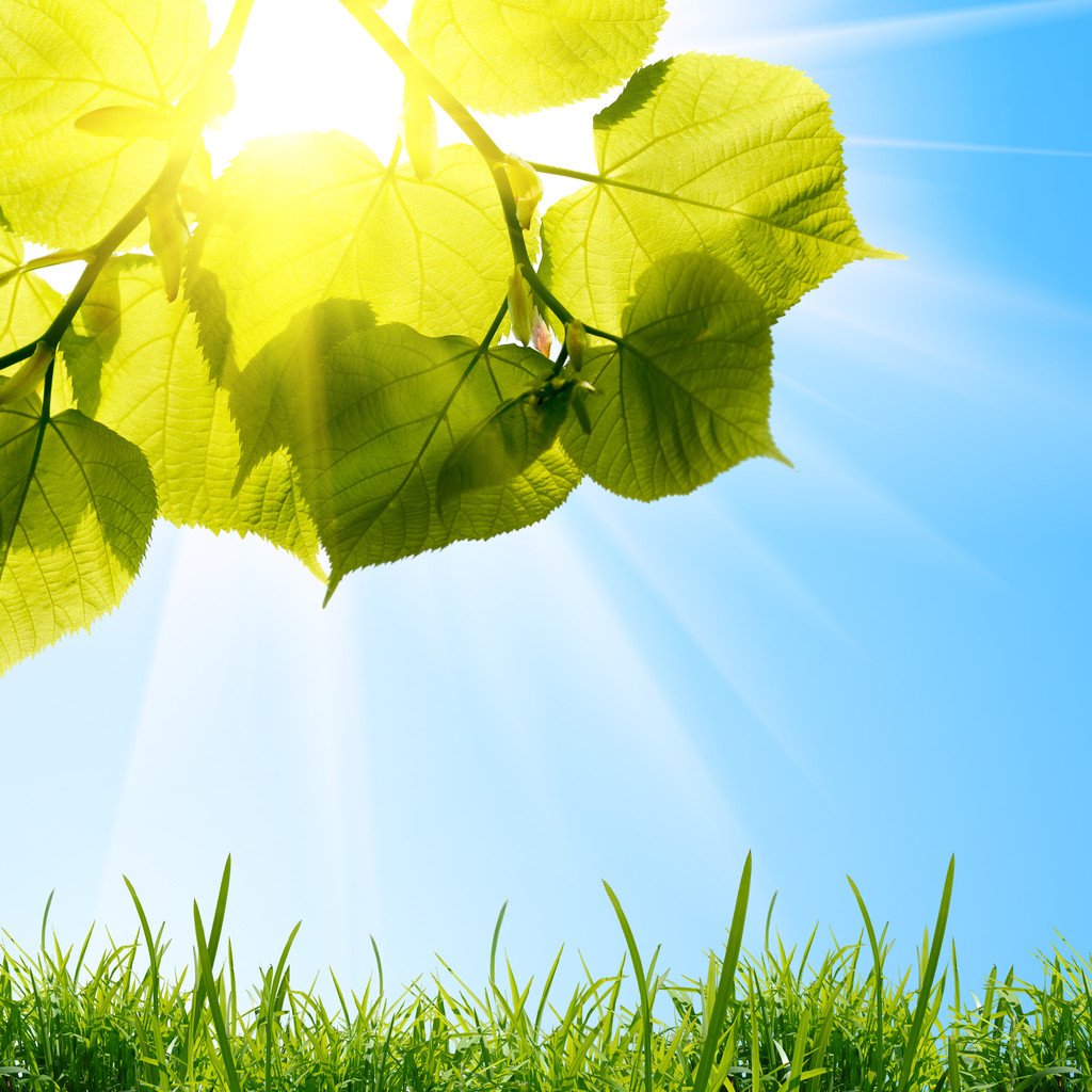 作为女生，你觉得夏天你最讨厌啥？