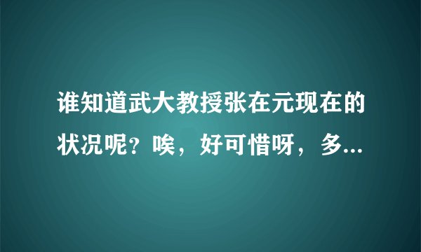 谁知道武大教授张在元现在的状况呢？唉，好可惜呀，多么伟大的人才！