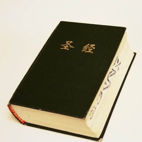 《圣经》中教育子女的句子有哪些?