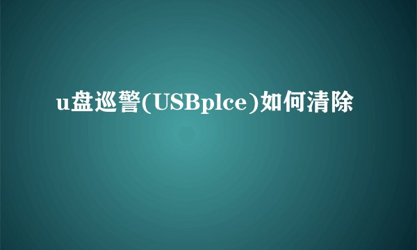 u盘巡警(USBplce)如何清除