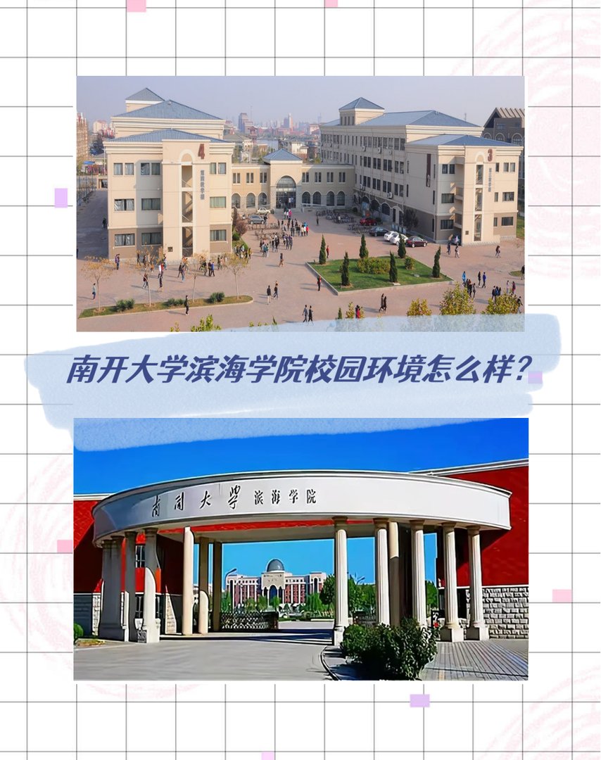 南开大学滨海学院校园环境怎么样？