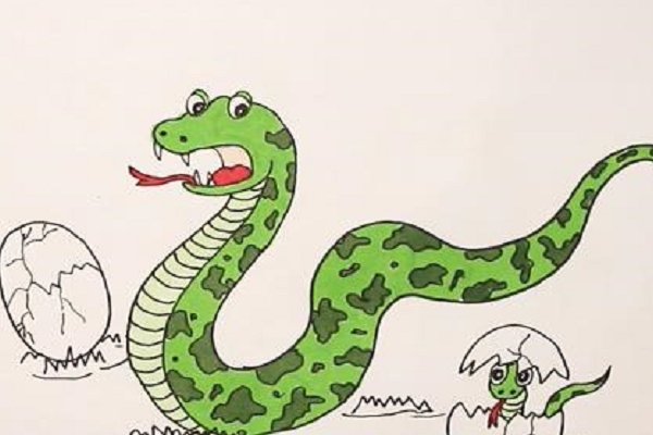 怎么画蛇