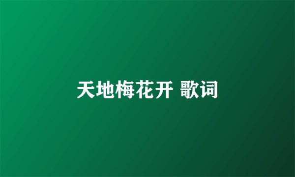 天地梅花开 歌词