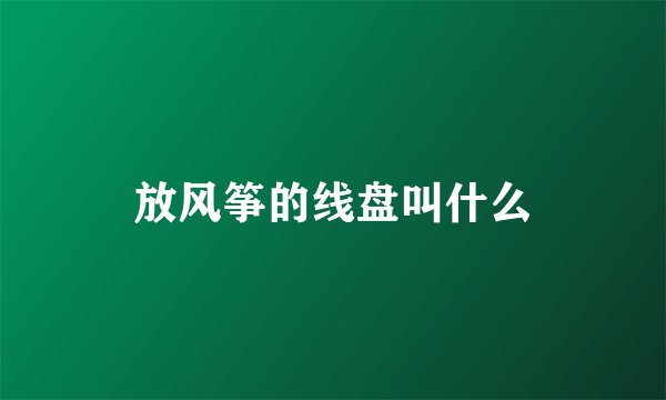 放风筝的线盘叫什么