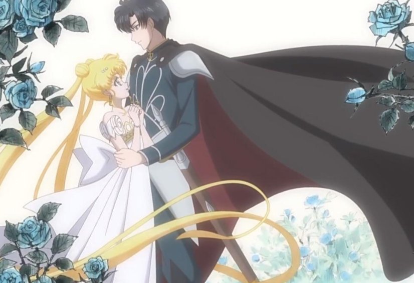 小卫和小兔相差几岁？