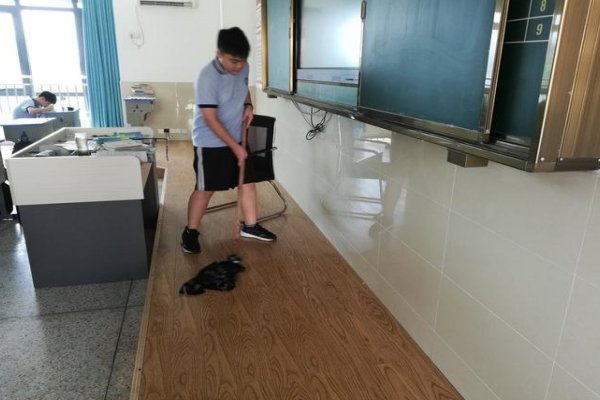 把什么的教室打扫得干干净净