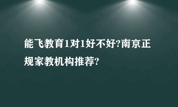 能飞教育1对1好不好?南京正规家教机构推荐?