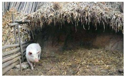 “圈”的读音是什么？