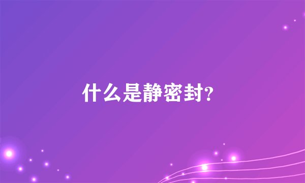 什么是静密封？