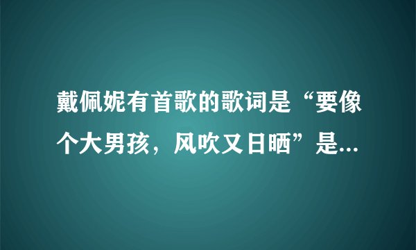 戴佩妮有首歌的歌词是“要像个大男孩，风吹又日晒”是什么歌啊？
