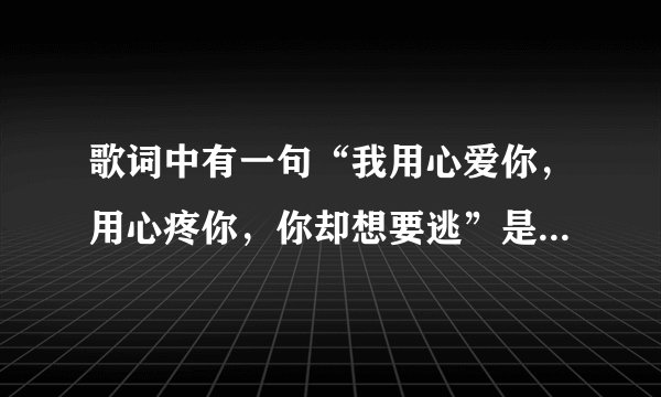 歌词中有一句“我用心爱你，用心疼你，你却想要逃”是什么歌曲