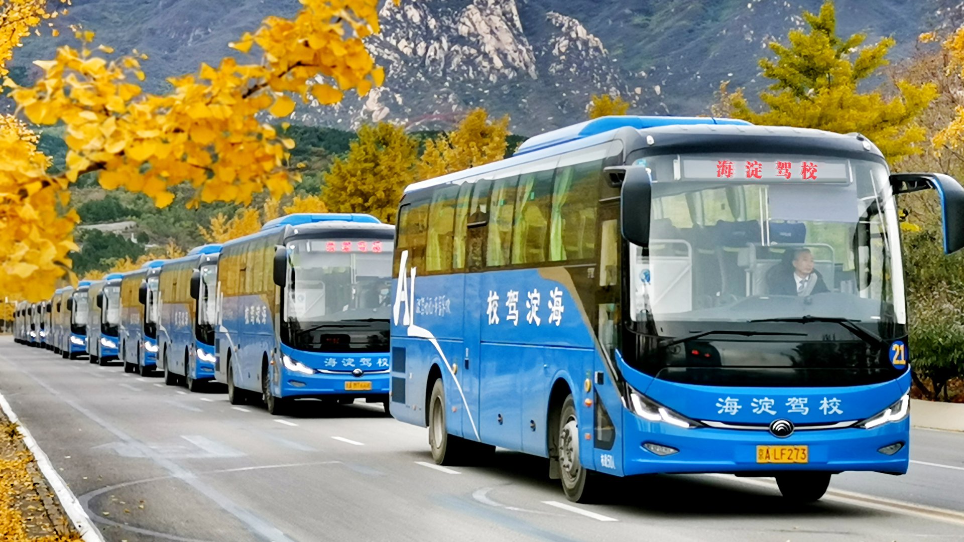 东方时尚驾校报名地点