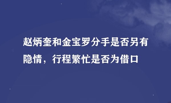 赵炳奎和金宝罗分手是否另有隐情，行程繁忙是否为借口