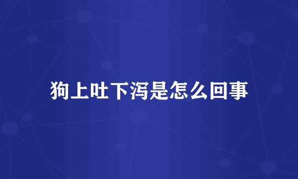 狗上吐下泻是怎么回事