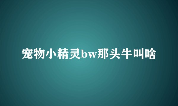 宠物小精灵bw那头牛叫啥