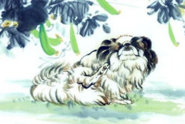 余钱剩米打一生肖