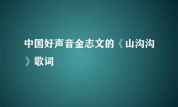 中国好声音金志文的《山沟沟》歌词