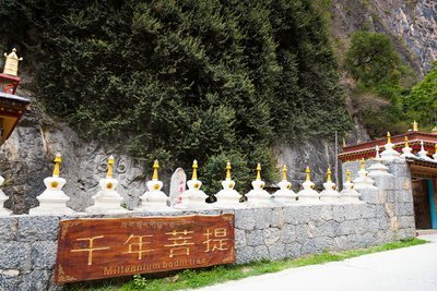 身是菩提树，心如明镜台。是何意思？出自哪？