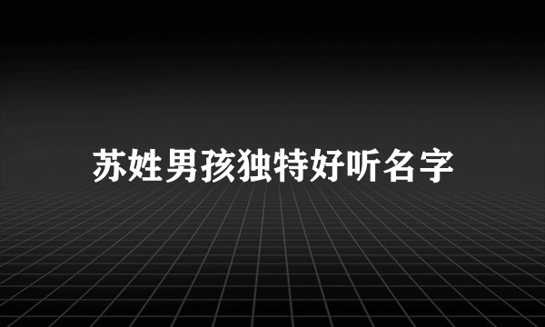 苏姓男孩独特好听名字