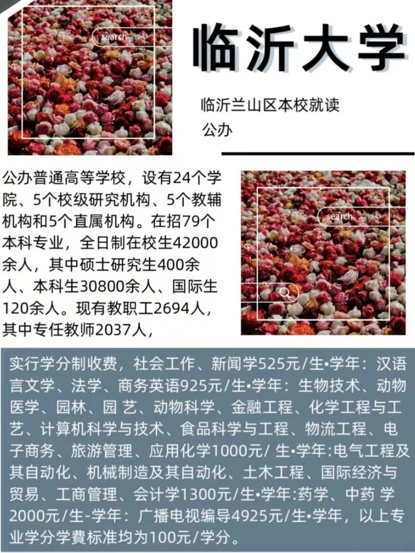 临沂大学有几个校区？
