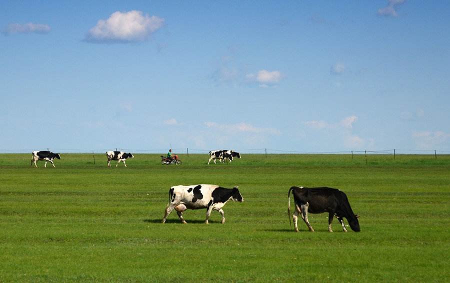 生活在内蒙古大草原的牧民，他们的条件真的很穷吗？