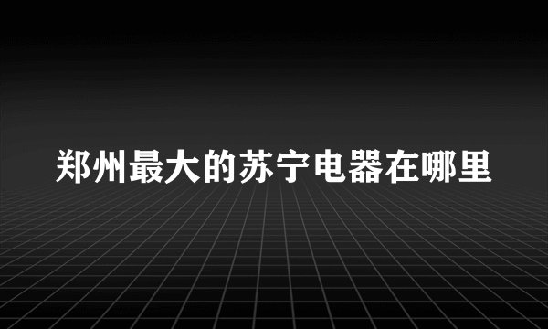 郑州最大的苏宁电器在哪里