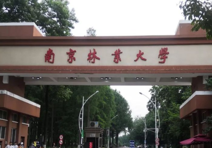 南京林业大学2022录取分数线