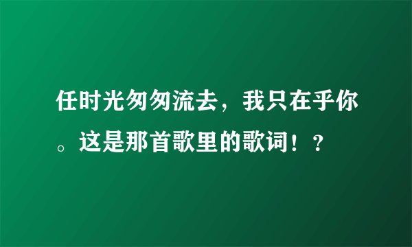 任时光匆匆流去，我只在乎你。这是那首歌里的歌词！？