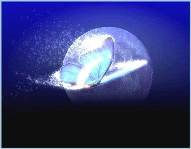 暴风雨中的蝴蝶的介绍