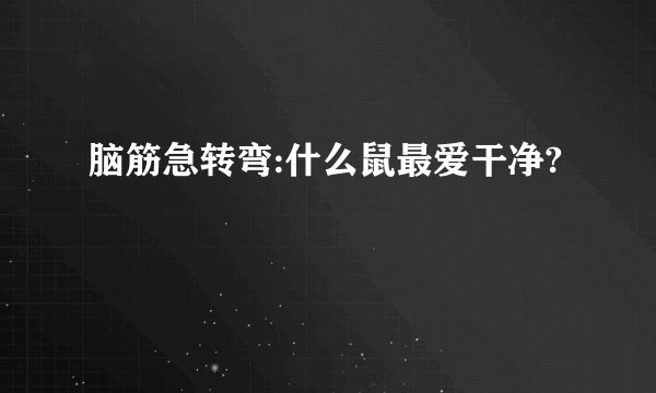 脑筋急转弯:什么鼠最爱干净?