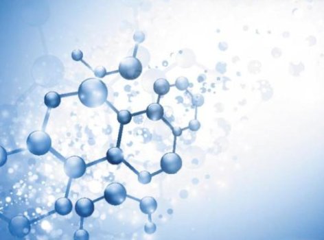 为什么硫酸铵能沉淀蛋白质?