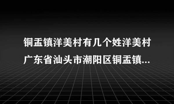 铜盂镇洋美村有几个姓洋美村广东省汕头市潮阳区铜盂镇下辖村简介