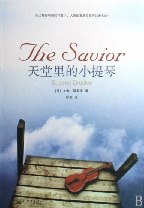 天堂里的小提琴的作者简介