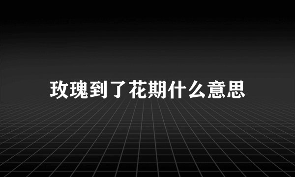 玫瑰到了花期什么意思