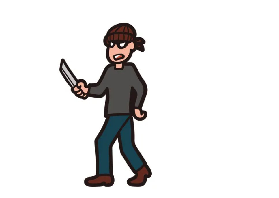 坏分子是什么意思