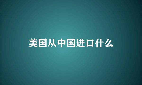 美国从中国进口什么
