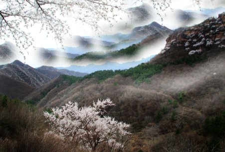 寒山是什么意思？