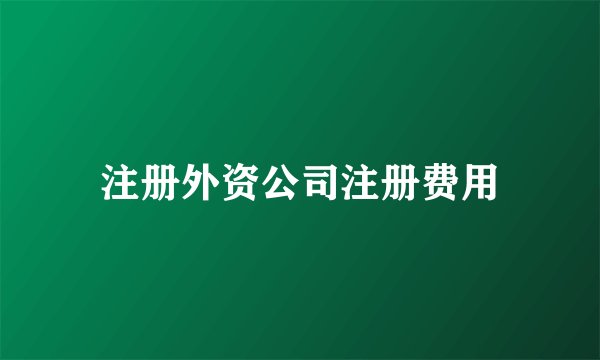 注册外资公司注册费用