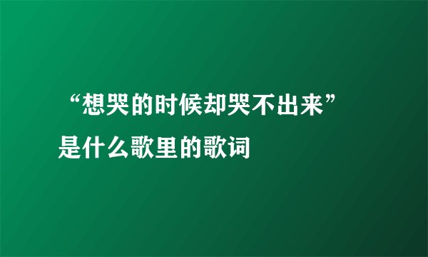 “想哭的时候却哭不出来” 是什么歌里的歌词