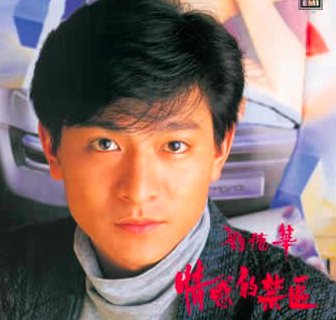 情感的禁区电影