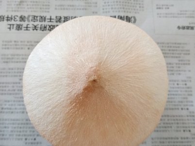 带皮的椰子，那最外面的那层皮应该怎样去掉呢？