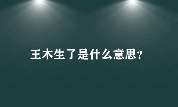 王木生了是什么意思？