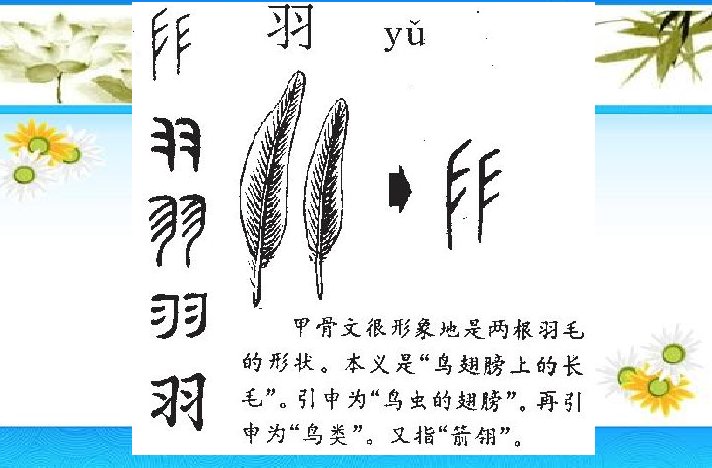 羽的偏旁是什么