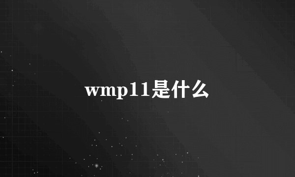 wmp11是什么