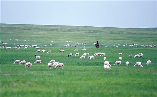 生活在内蒙古大草原的牧民，他们的条件真的很穷吗？