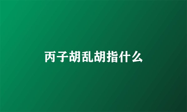 丙子胡乱胡指什么